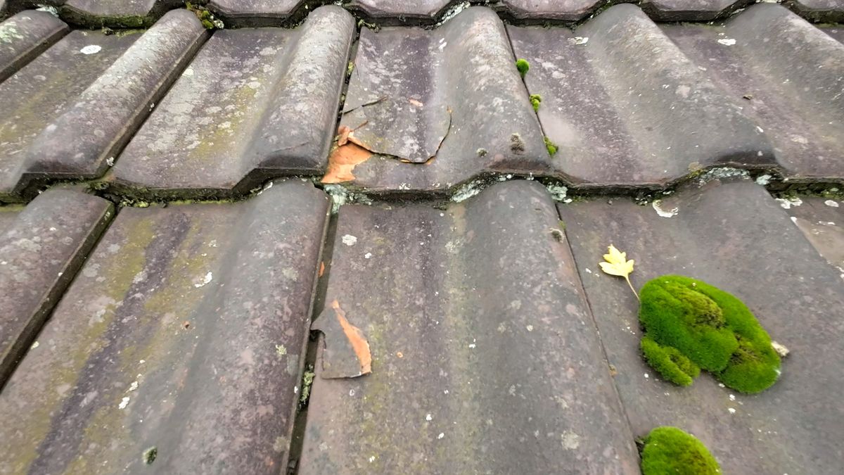 Beispiel-Detail: gebrochene Dachziegel in Nahaufnahme